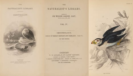Birds of Great Britain and Ireland Part 4